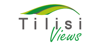 Tilisi Views logo