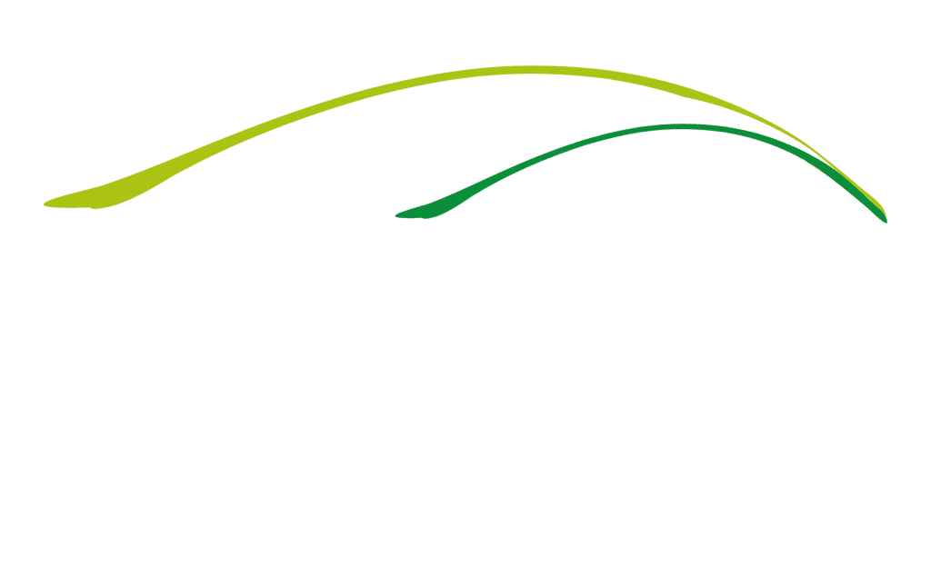 Tilisi logo