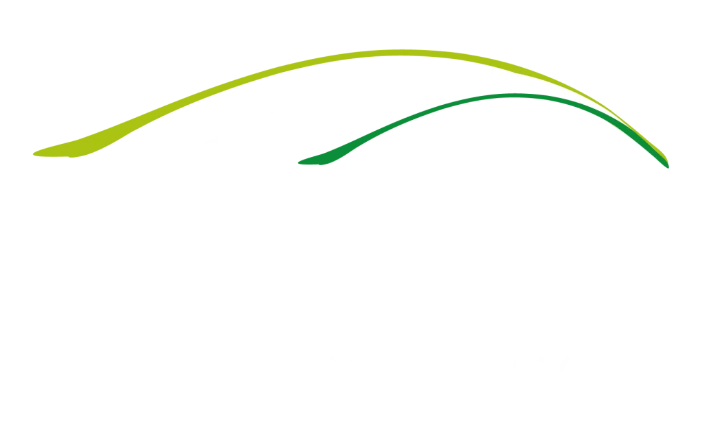Tilisi logo